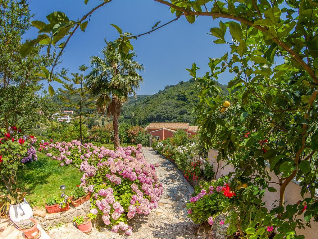 Evergreen Apartments Агиос-Гордиос Номер фото