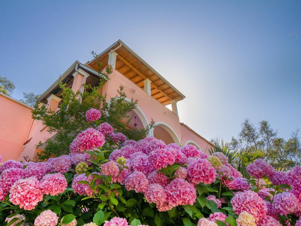 Evergreen Apartments Агиос-Гордиос Номер фото